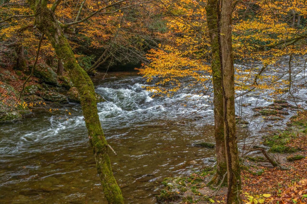 Fox Hollow Little Cove Exteriör bild